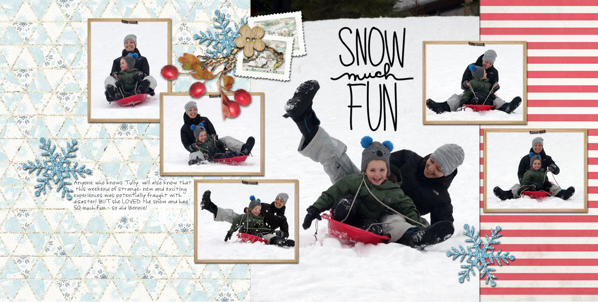 17thJanuary-Snow-Much-Fun-double.jpg