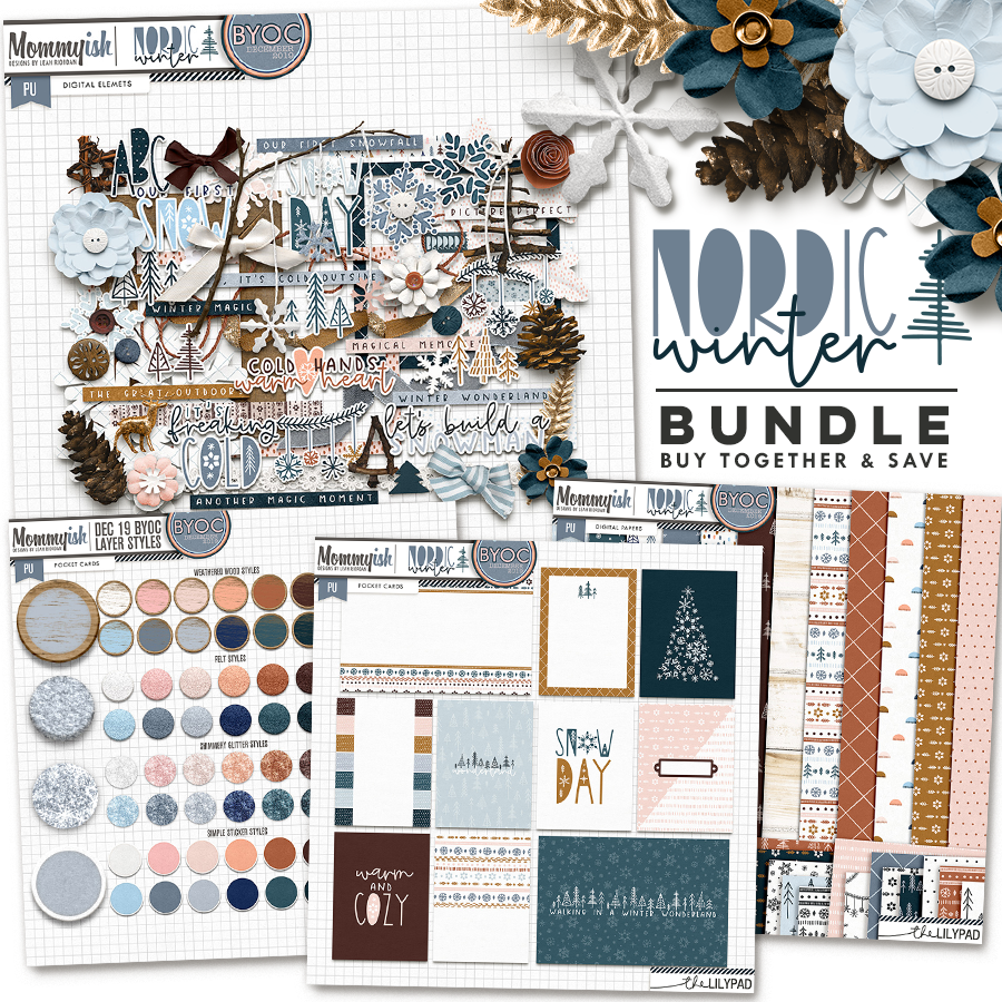 bundle-949.png