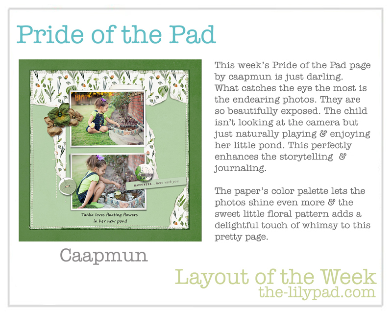 Dec7-TLP_POP_template_single-800px-typofixed.jpg