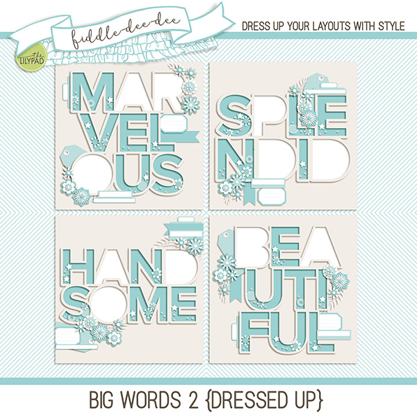 fdd_BigWords2_DU_pvw.jpg