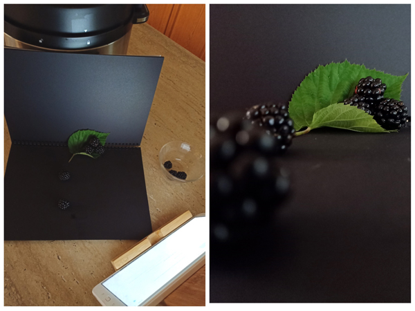 Justine 3 PhotoCollage_1642553858-berries600px.jpg