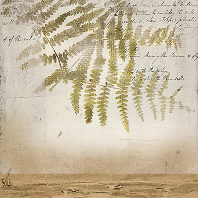 merged paper.png