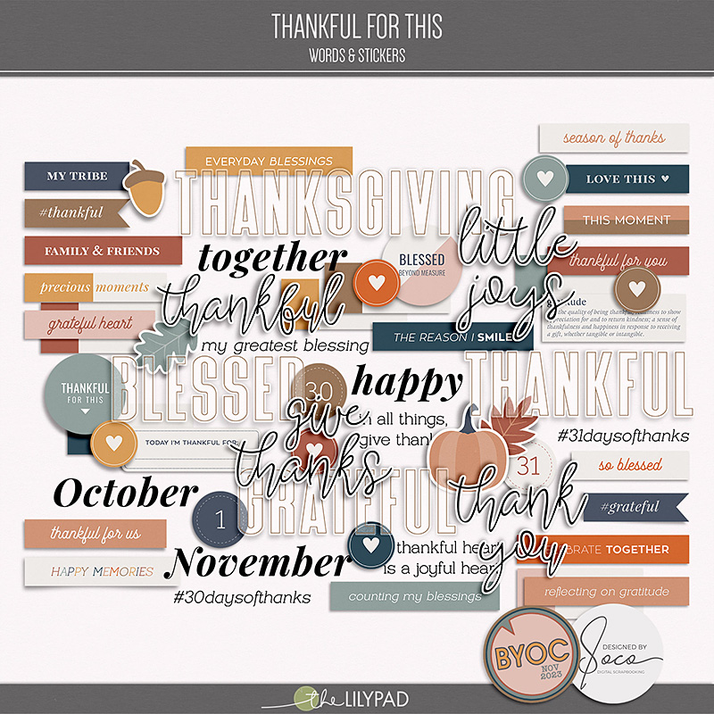 soco_thankfulforthis_words_pv800.jpg