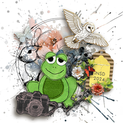 upload_2024-5-6_12-16-51.png