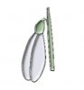 snowdrop.jpg