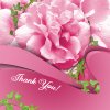 TP-Challenge-ROSE-&-WAVE-KFM-10-01-19-WEB.jpg