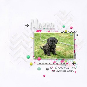 Puppy Mocca