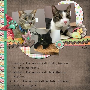 Cats