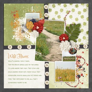 Wild Flowers 2016