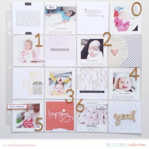 Onelittlebird-milestones-bycarolinapretorius
