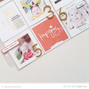 Onelittlebird-milestones-bycarolinapretorius02