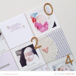 Onelittlebird-milestones-bycarolinapretorius03