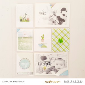 Paislee-FRESH AIR-projectbycarolinapretorius01