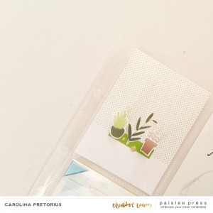Paislee-FRESH AIR-projectbycarolinapretorius05