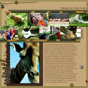 Elmvale Zoo 2009
