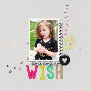 SRoeder_TLPMOC5_28_Wish
