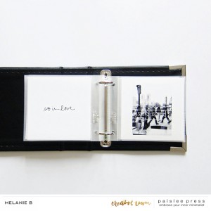 Paris mini-album V