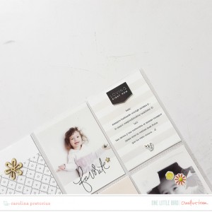 Onelittlebird-allthingscons-bycarolinapretorius03