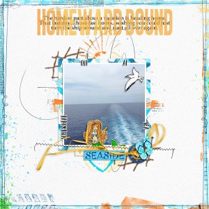 Homeward Bound - 5182017 Speed Scrap