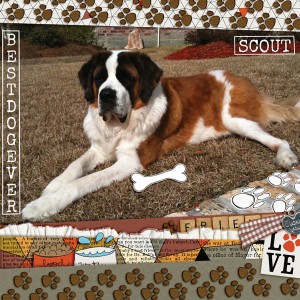 Best Dog Ever - 6-21 Visual Slow Scrap: Titles