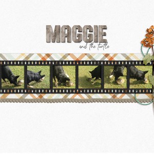 Maggie & the Turtle