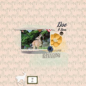 Doe A Deer