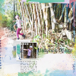Bamboo Maze
