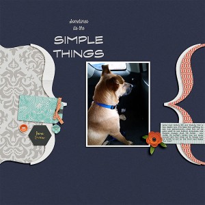 Simple Things - MOC6