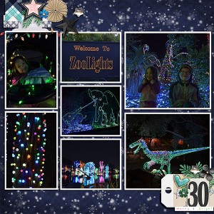 Zoolights 2017 (MOC6 - Filled Layout)