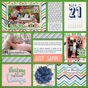 2017 P365 Week 21 Right