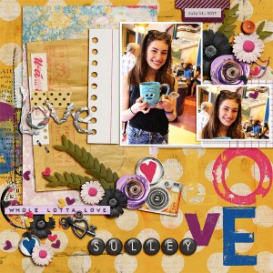 Sulley Love