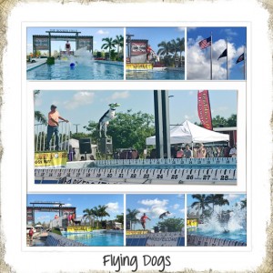 July Scraplift - Flying Dogs