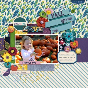 Fall Fest