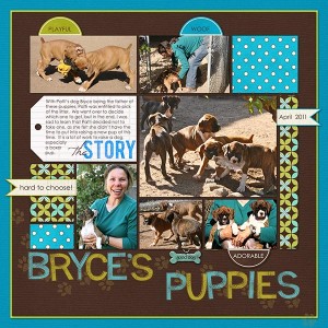 Bryce's Litter