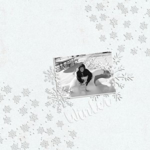 Winter - January 9: White on White Page