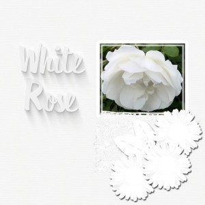 Day 9 White On White8x8 72