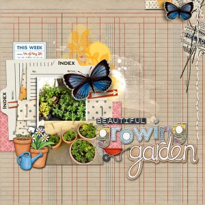 Beautiful Growing Garden