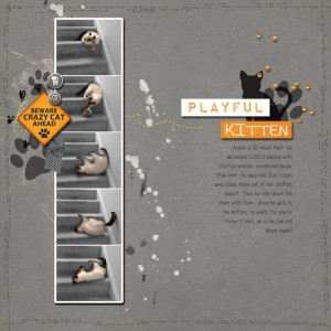 March 2019 Random Challenge