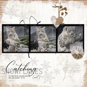 Catching-snowflakes (not)