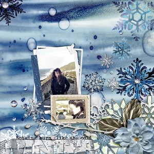 Cold Winter