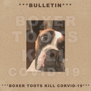 Typography-bulletin-7