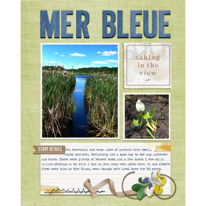 Mer Bleue Blue