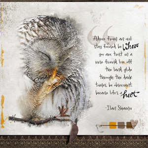 Owl