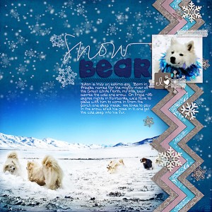 Snow Bear