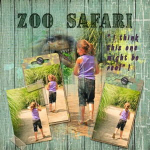 Zoo Safari