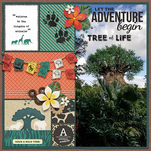 animal kingdom