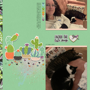 Enjoy the little things: being ill