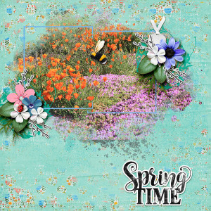 Spring Time