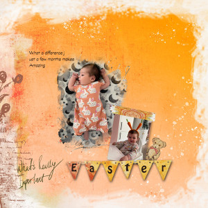 Lynns-scraplift-May