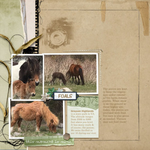 Ponies